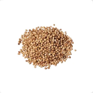 Coentro em Grão (granel) 100g