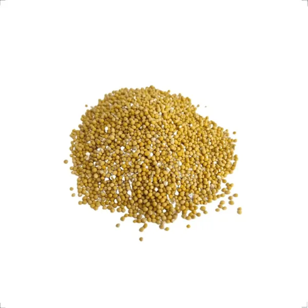 Mostarda em Grão  (granel) 100g