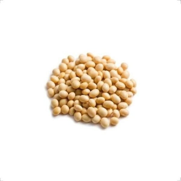 Soja em grãos (granel)100g