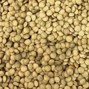 Lentilha verde (granel) 100g