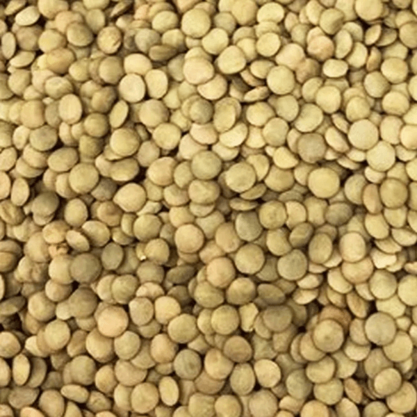 Lentilha verde (granel) 100g
