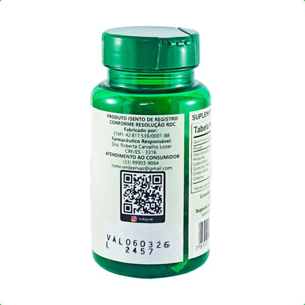 Ginkgo Biloba com Ginseng 60 cps 500mg - Imagem 2