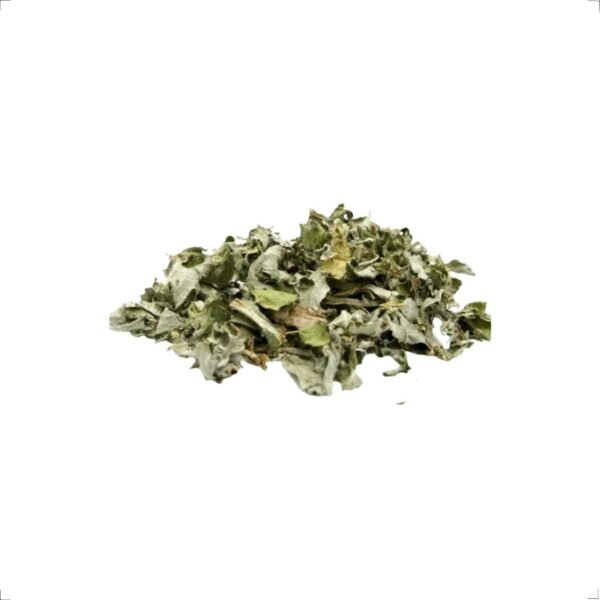 Erva Alcachofra 20g Relva