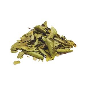 Erva Boldo do Chile 20g