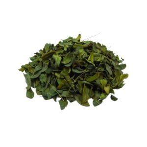 Erva Moringa 20g